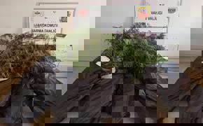 Van'da 859 kök Hint keneviri ele geçirildi