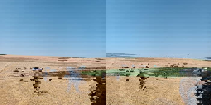 Çınar’da DEDAŞ gerilimi