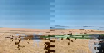 Çınar’da DEDAŞ gerilimi