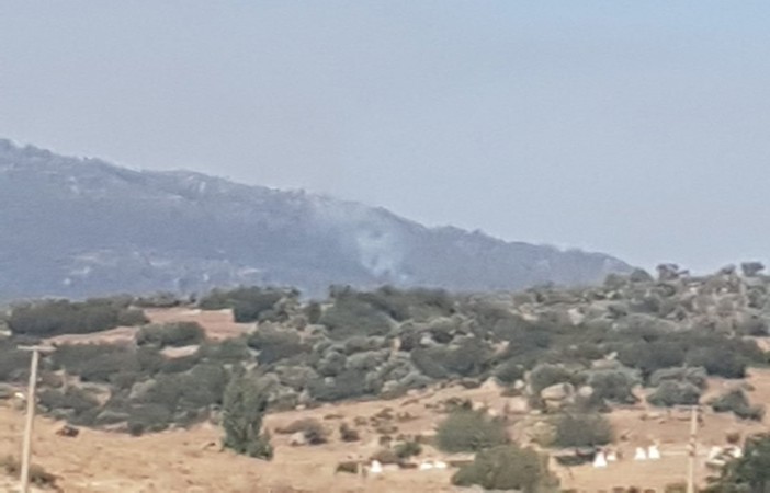 Çine’de orman yangını, müdahale sürüyor