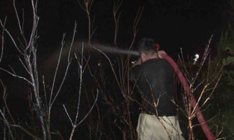 (Video) Pendik Göçbeyli köyünde ormanlık alanda yangın