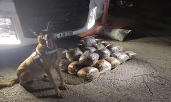 (Video) Osmaniye’de arpa yüklü tırda 40 kilo skunk ele geçirildi