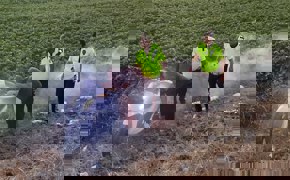 Adana'da otomobil motosiklete çarptı, 1 ölü 2 yaralı