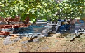 Kütahya'da direğe çarpan otomobilin sürücüsü öldü