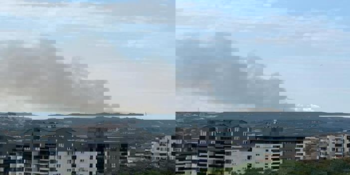 Bursa'da çıkan orman yangınına müdahale ediliyor