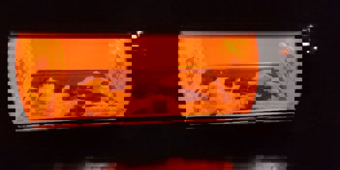 Saç tokası yutan kedi ameliyat edildi