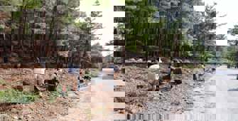 Gönüllüler orman ve sahilde temizlik yaptı