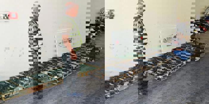 Şırnak'a saka kuşu getirenlere 2 milyon 292 bin 780 lira para cezası