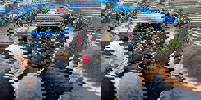 İstanbul'da yağışlı havanın etkisiyle ulaşımda aksamalar yaşanıyor