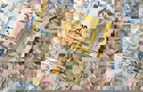 Günün döviz kurları 