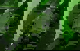 Sibergöz-14 Operasyonunun detayları gelmeye devam ediyor 