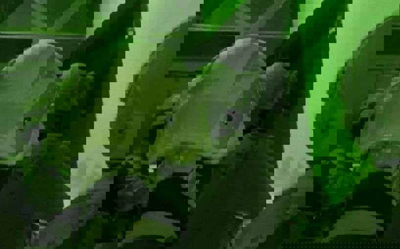 Sibergöz-14 Operasyonunun detayları gelmeye devam ediyor 