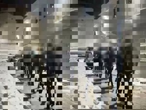 Jandarma'dan farklı suçlardan aranan 74 kişiye gözaltı 