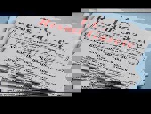 YSK kararı Resmi Gazete'de