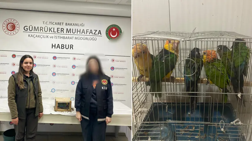 Habur Sınır Kapısı'nda 6 adet 