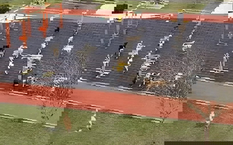 Diyarbakır'da köpek çocuğa saldırdı