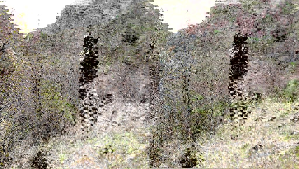 7 günün bilançosu