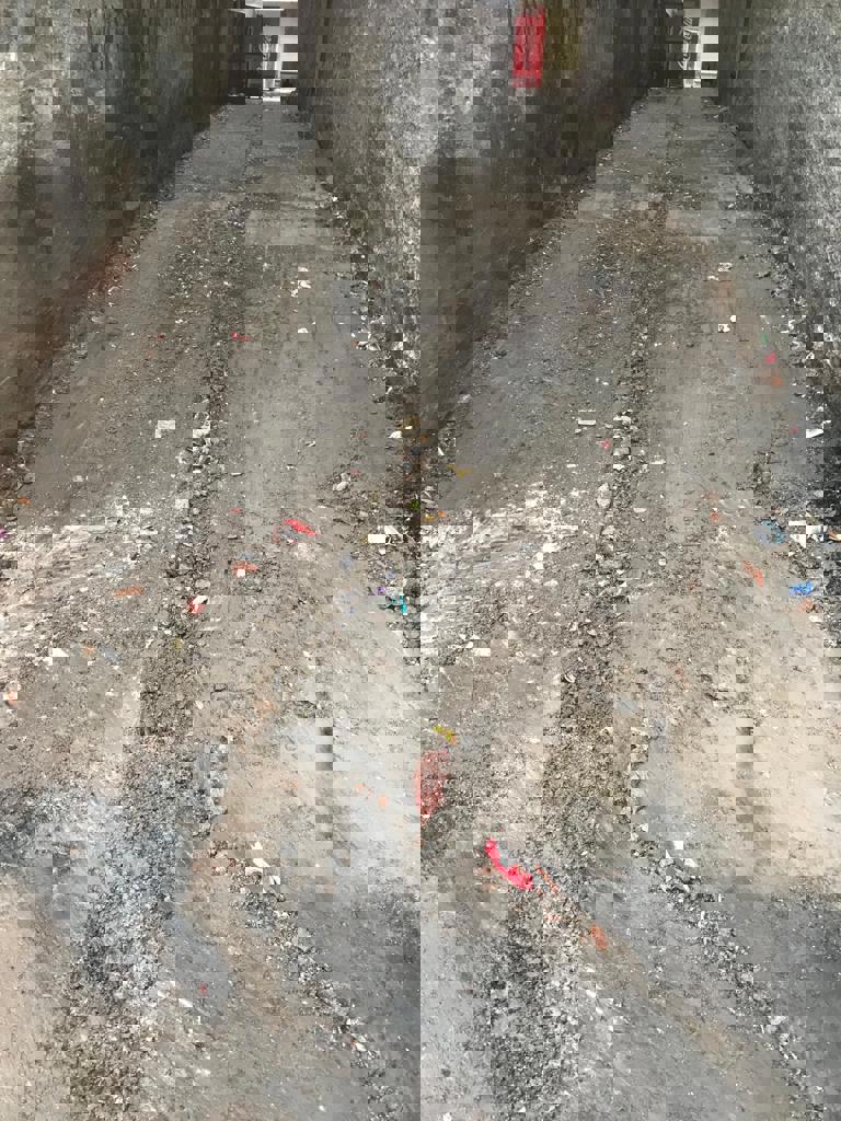  Vatandaş talep etti, Bağlar Belediyesi temizledi