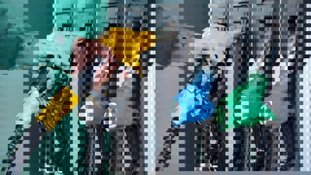 Motorine zam geldi! Fiyatlar ne durumda?