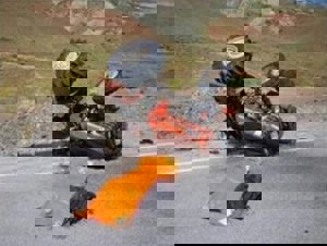 Traktör kazası can aldı