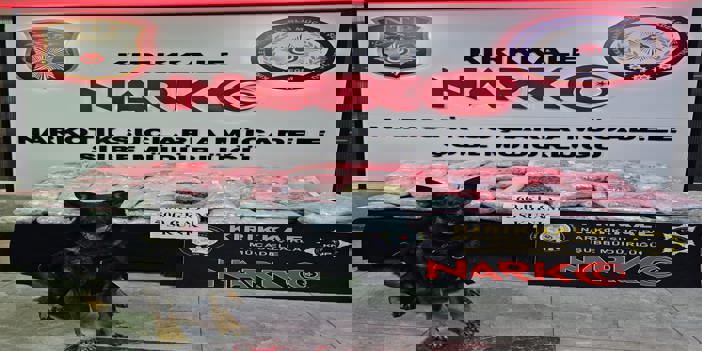 Kırıkkale'de tırın dorsesine gizlenmiş 60,5 kilogram skunk ele geçirildi