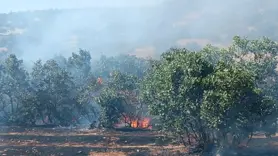 Mardin'de ormanlık alanda çıkan yangın söndürüldü