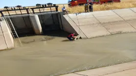 Diyarbakır’da sulama kanalına düşen köpek kurtarıldı