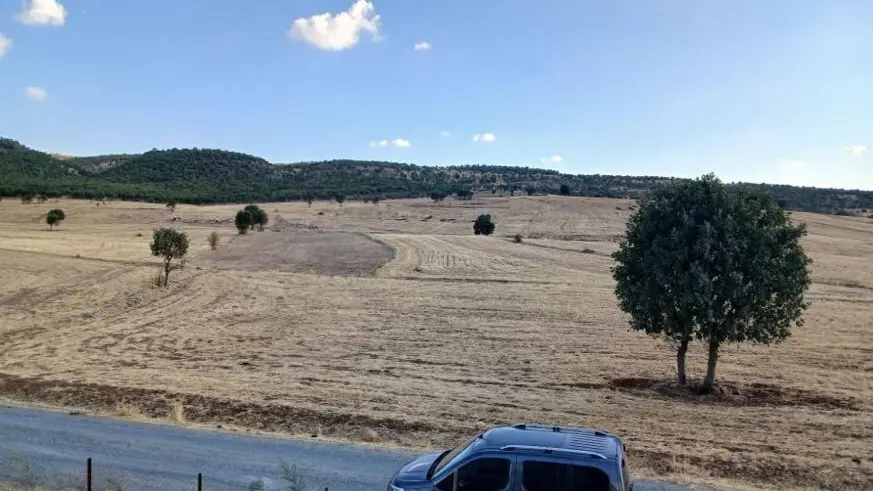 Sağanak başladı, çiftçiler umutlandı