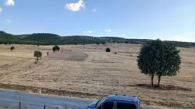 Sağanak başladı, çiftçiler umutlandı