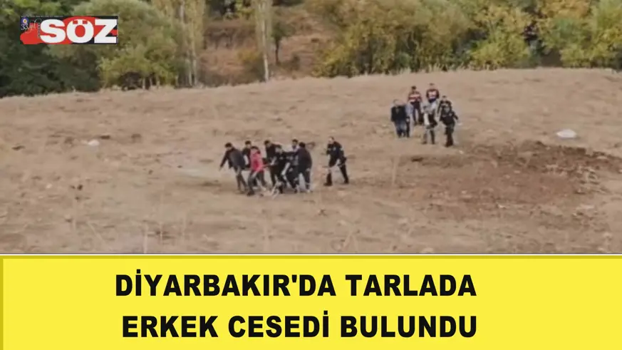 Diyarbakır'da tarlada erkek cesedi bulundu