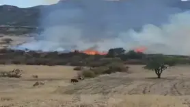 Diyarbakır'da otluk yangını