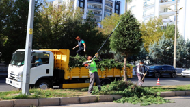 Kent genelinde ağaç budama çalışmaları başladı