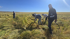 İlaç kalıntısı olmadığı analizlerle doğruladı