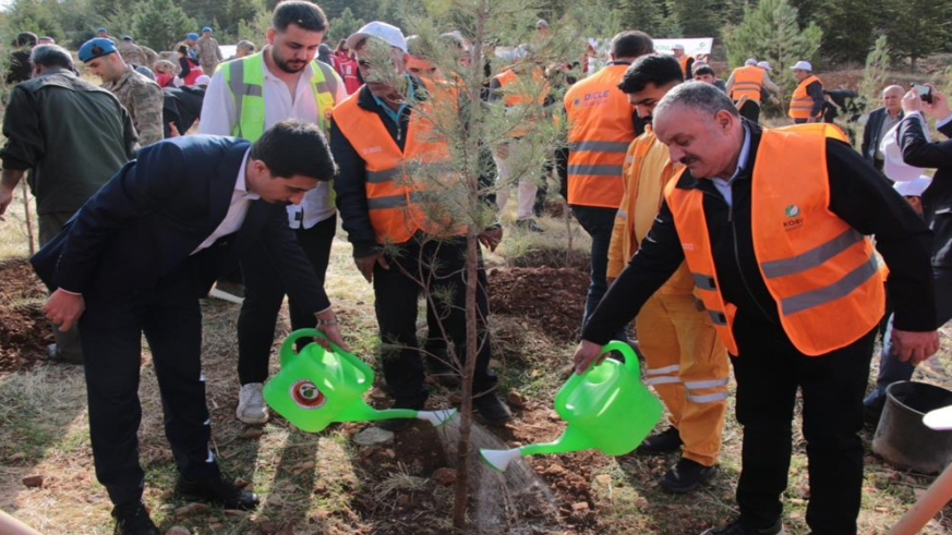 Makam Dağı’na 3 bin fidanlık yeşil dokunuş