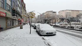 Van, Bitlis ve Hakkari'ye kar yağdı