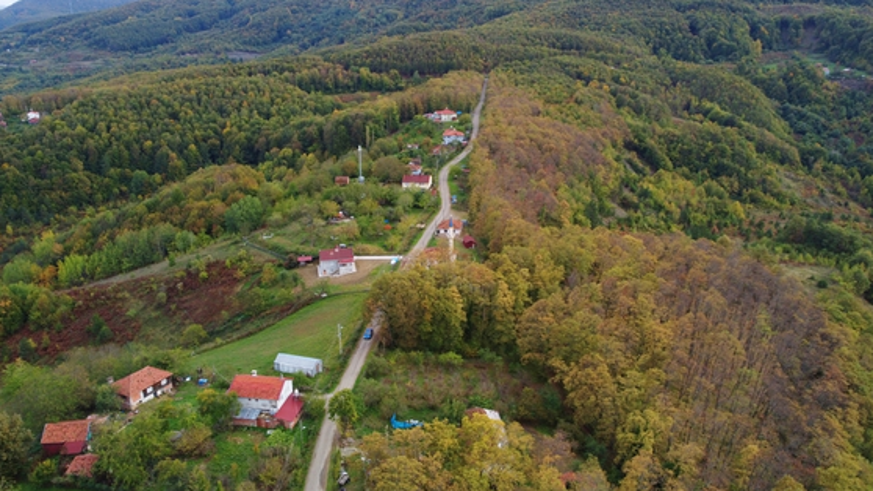 Orman ile yerleşim alanları arasında tampon bölgeler oluşturulacak