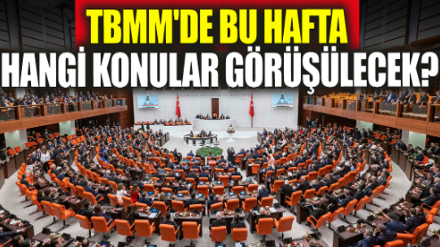TBMM'de bu hafta