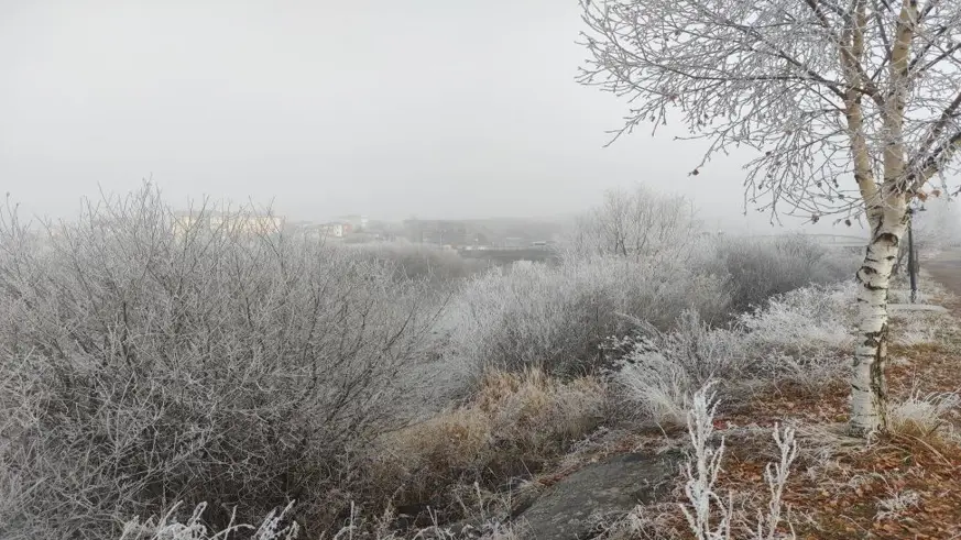 Göle eksi 13 derece, ağaçlar kırağı tuttu