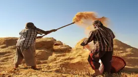 Tarım-GFE yıllık yüzde 34,60 arttı