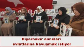 Diyarbakır anneleri  evlatlarına kavuşmak istiyor
