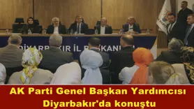 AK Parti Genel Başkan Yardımcısı  Diyarbakır'da konuştu