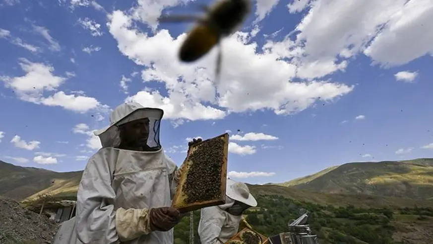 Gaziantep'te arı yetiştiricileri için tesis kuruluyor