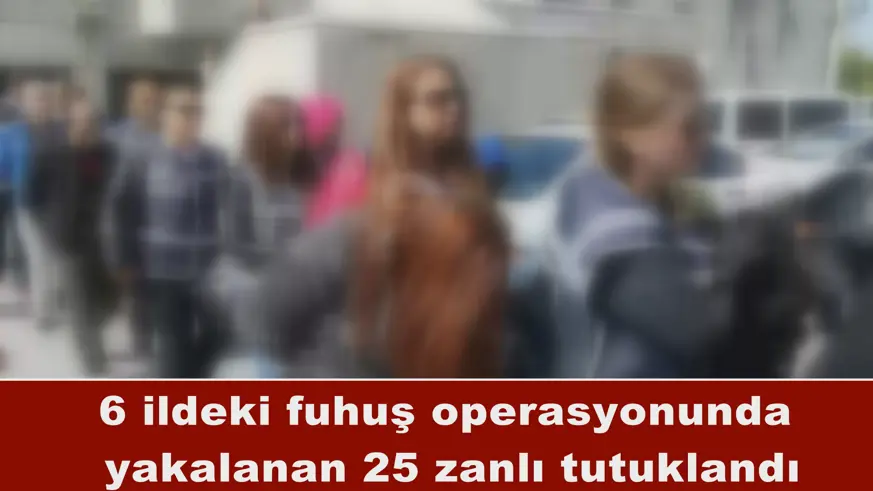 6 ildeki fuhuş operasyonu