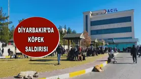 Diyarbakır’da köpek saldırısı