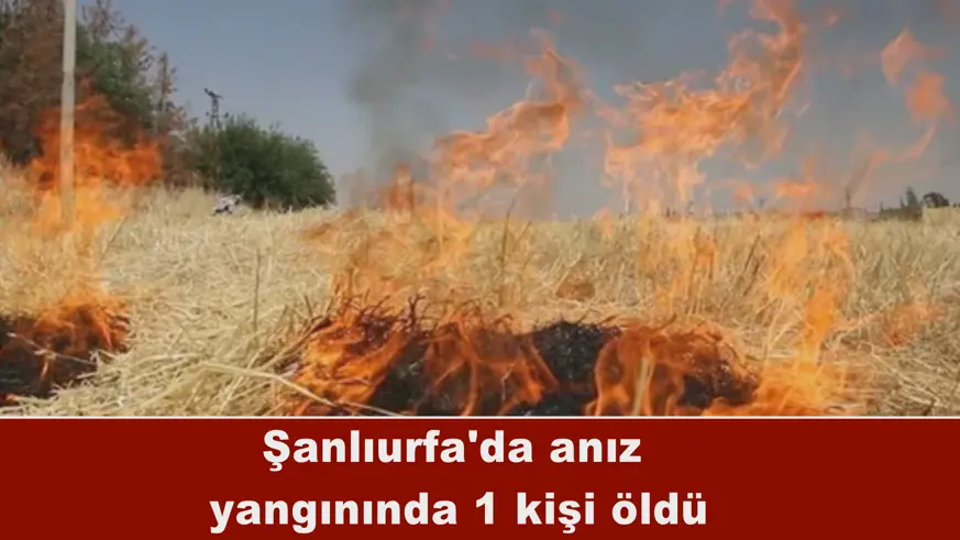 Şanlıurfa'da anız  yangınında 1 kişi öldü