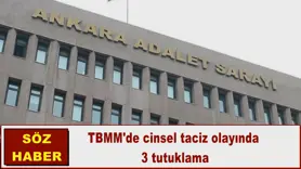 TBMM'de cinsel taciz olayında  3 tutuklama