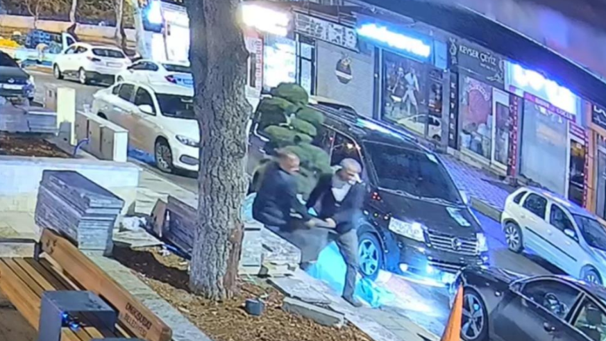 Parktaki ağacı araçla çaldılar