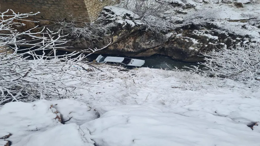 Sinek Çayı'na düşen otomobildeki 3 kişi yaralandı