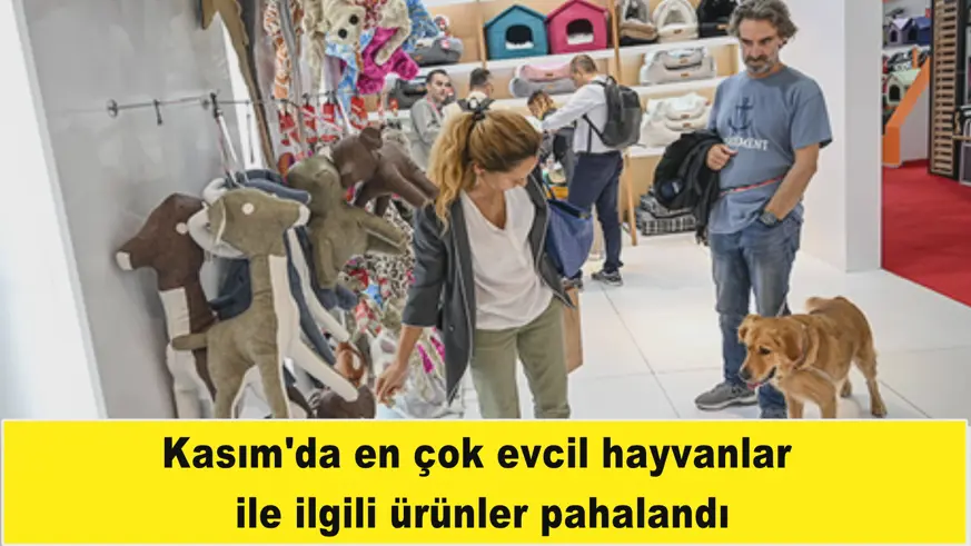 Kasım'da en çok evcil hayvanlar  ile ilgili ürünler pahalandı