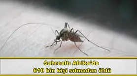 610 bin kişi sıtmadan öldü
